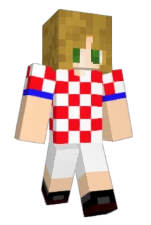 FlF4 Minecraft avatar full body