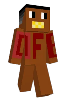 FlNN__ Minecraft avatar full body
