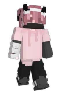 Flace15 Minecraft avatar full body