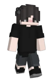 Flacte Minecraft avatar full body