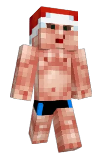 Flady Minecraft avatar full body