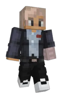 Flaminghamm Minecraft avatar full body