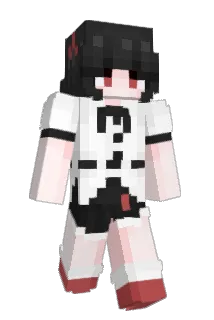 FlanC8576 Minecraft avatar full body