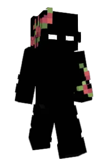 Flanigans Minecraft avatar full body