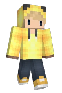 Flaodin99 Minecraft avatar full body