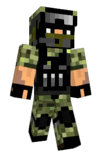 Flape Minecraft avatar full body