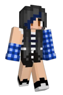 Flapsii Minecraft avatar full body
