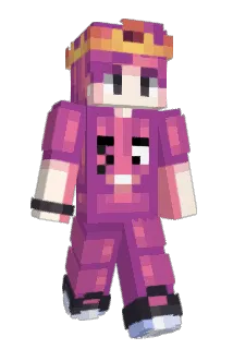 Flarden Minecraft avatar full body