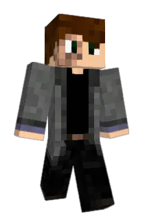 Flash98989 Minecraft avatar full body