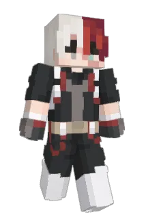 FlashDashh Minecraft avatar full body