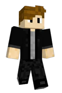 Flashuser17 Minecraft avatar full body