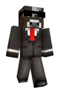FlasshFtw Minecraft avatar full body