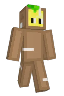 FlatPackedLemons Minecraft avatar full body