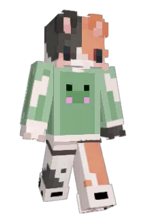 Flauschbauschl Minecraft avatar full body