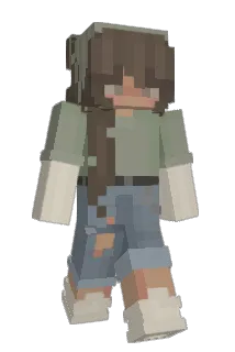 Flavy2008 Minecraft avatar full body