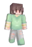 FlawRest Minecraft avatar full body