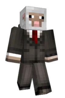 FlawlessPoesje Minecraft avatar full body