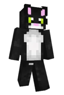 Minecraft-Avatar von Flawory: ganzer Körper