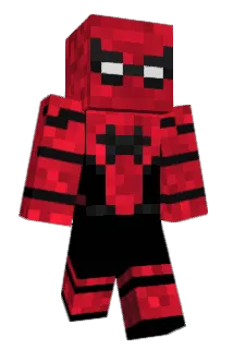 FlawzMC Minecraft avatar full body