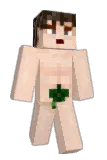 FleXer1 Minecraft avatar full body
