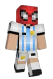 Flechin Minecraft avatar full body