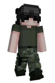 Fleckenentferner Minecraft avatar full body