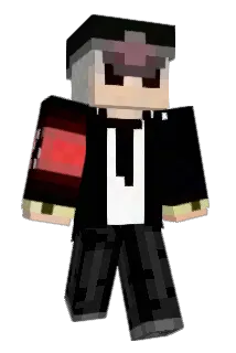 Fleet0n Minecraft avatar full body