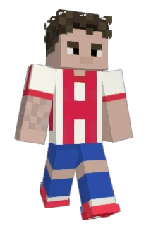 Flega Minecraft avatar full body