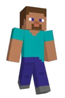 Fleischwand Minecraft avatar full body
