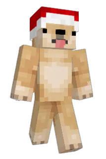 FlerpaDerpa Minecraft avatar full body