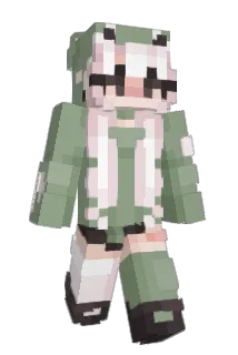 Fletty31 Minecraft avatar full body