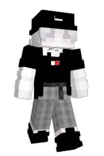 FlexNetwork Minecraft avatar full body