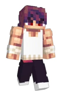 Flexfer Minecraft avatar full body