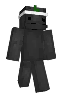 FlexiZockt Minecraft avatar full body