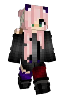 Flickax Minecraft avatar full body