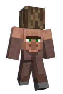 Flicker1209 Minecraft avatar full body