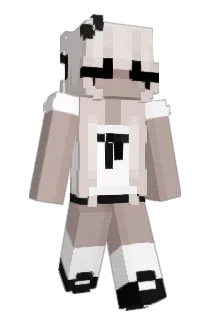 Flietchh Minecraft avatar full body