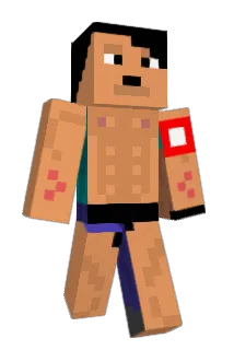 FliggerMan Minecraft avatar full body