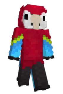 Flimpo_ Minecraft avatar full body