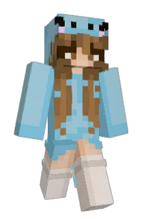 Flindtt Minecraft avatar full body