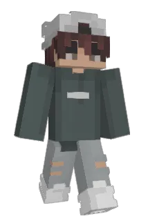 Flipp3r_007 Minecraft avatar full body