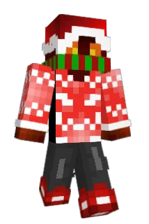 Flipper1 Minecraft avatar full body
