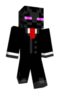 Flipper27 Minecraft avatar full body