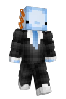 Flippersole854 Minecraft avatar full body