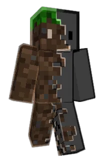 Flippi_Senf Minecraft avatar full body