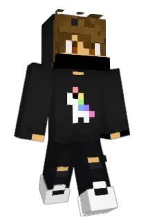 FlippieGamer Minecraft avatar full body