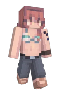 Fliprr Minecraft avatar full body