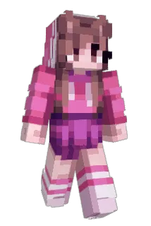 Flipsy529 Minecraft avatar full body