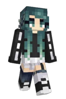 FlisanMC Minecraft avatar full body