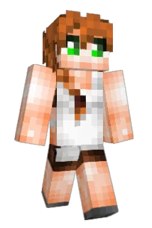 FlitschFisch Minecraft avatar full body